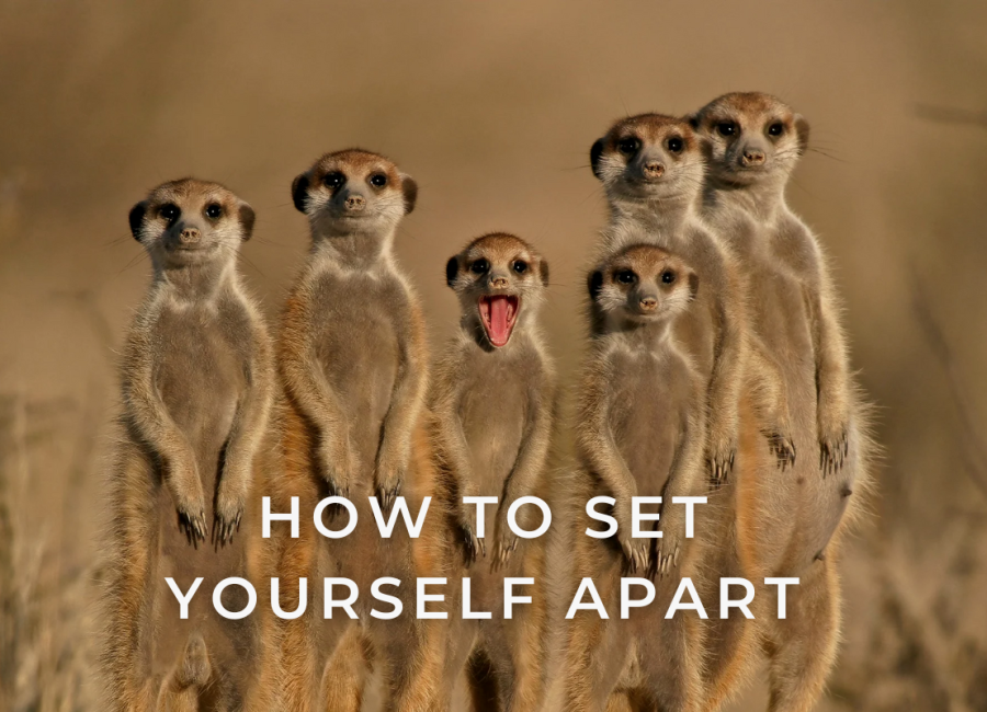 How to set yourself apart: a brand guide for travel companies
