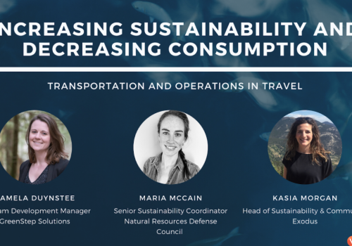 Increasing Sustainability and Decreasing Consumption in Travel