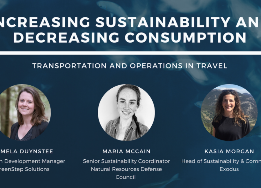 Increasing Sustainability and Decreasing Consumption in Travel