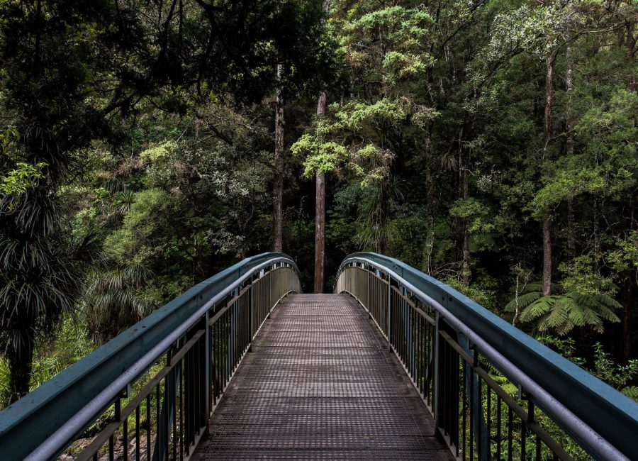 Together, we can make travel greener