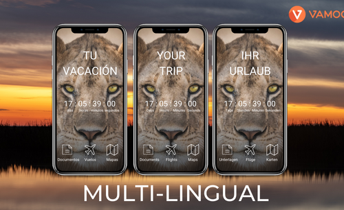 Service your clients in their own language with Vamoos’ new Multilingual feature