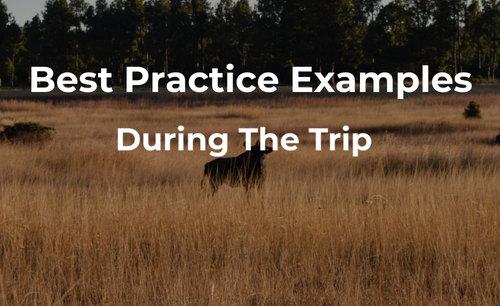 Winning against OTAs: How to transform your clients’ on-trip experience