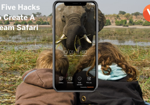 Safari holidays – Top five hacks to creating a dream safari
