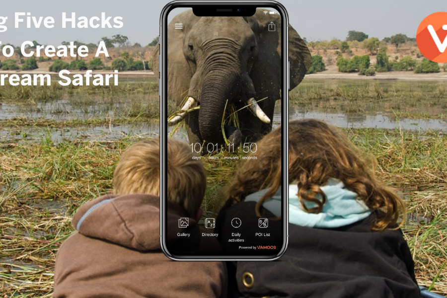 Safari holidays – Top five hacks to creating a dream safari