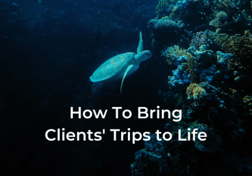 How to bring trips to life before clients set off