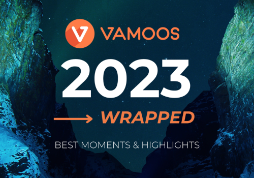 Vamoos Wrapped 2023: How was your travel business involved?