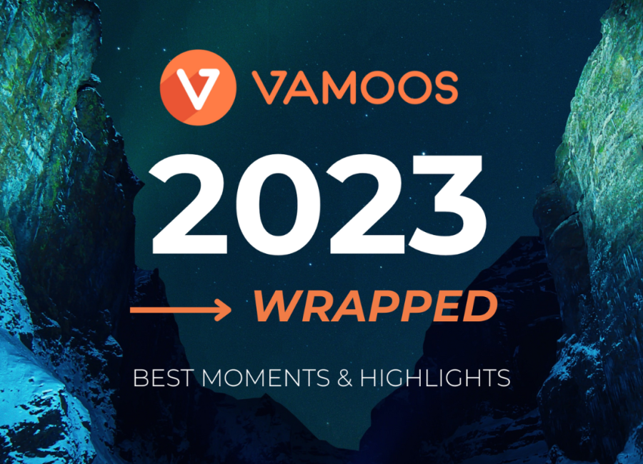 Vamoos Wrapped 2023: How was your travel business involved?