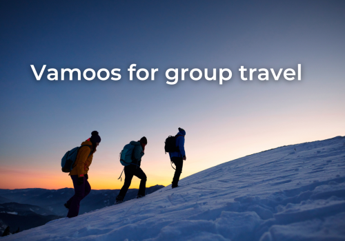 Why Vamoos is the perfect app for group travel
