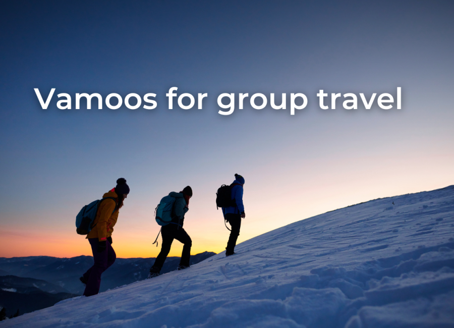 Why Vamoos is the perfect app for group travel
